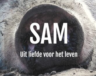 SAM op YouTube House of Animals - Animal Crime Unit