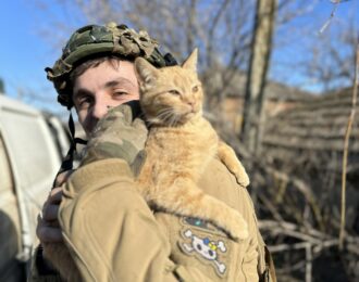 Lentekriebels in oorlogstijd: sterilisatiecampagne van start