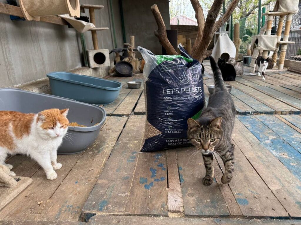 2.000 kilo kattengrind voor katten aan de frontlinie van Oekraïne | Foto: Pegasus