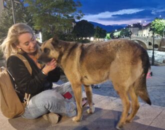 Karen Soeters met straathond in Prizren Kosovo