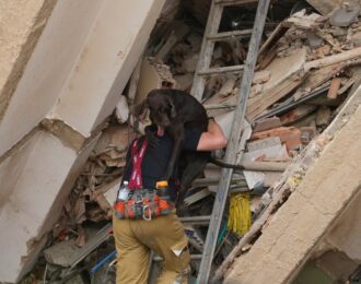Noodhospitaal voor dieren na aardbeving in Venezuela