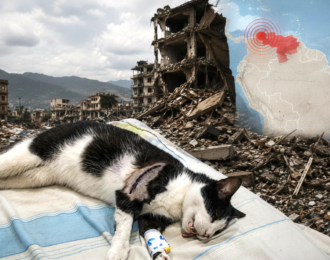 Noodhospitaal voor dieren na aardbevingen in Venezuela