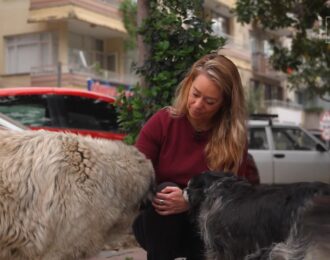 Stop de Turkse 'slachtwet' teken de petitie van House of Animals