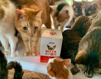 Happy Paw: Noodhulp voor 5.483 oorlogsdieren in Oekraïne | Foto: Happy Paw