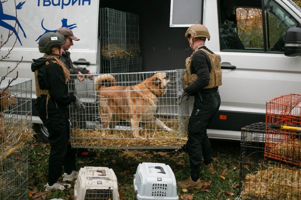 Nieuw reddingsvoertuig voor oorlogsdieren in Oekraïne (op de foto is een ander voertuig te zien) |