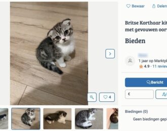 Verboden dieren zijn nog altijd te koop via Marktplaats