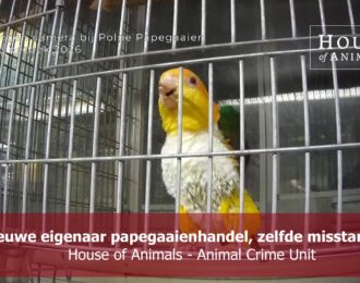 Nieuwe eigenaar papegaaienhandel, zelfde misstanden